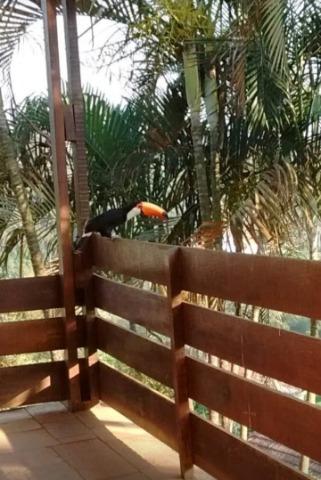 Chácara, 6 quartos, 260 m² - Foto 5