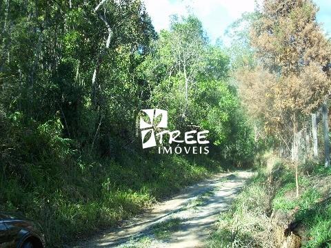 Terreno, 5714 m² - Foto 5