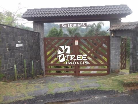 Chácara, 6 quartos, 7000 m² - Foto 4