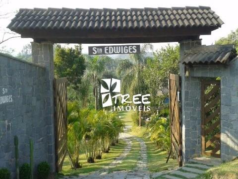 Chácara, 6 quartos, 7000 m² - Foto 2