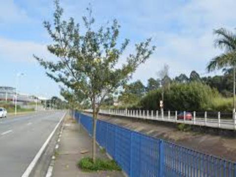 Casa, 1 quarto, 7000 m² - Foto 2