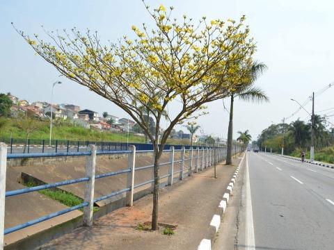 Casa, 1 quarto, 7000 m² - Foto 1