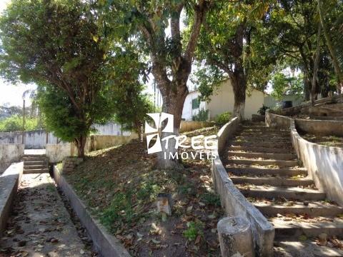 Chácara, 1 quarto, 6000 m² - Foto 5