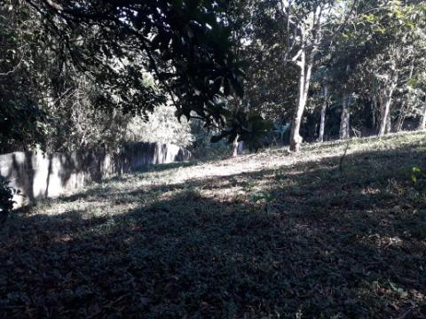 Chácara, 3 quartos, 1000 m² - Foto 7