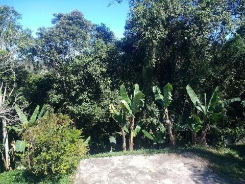 Chácara, 3 quartos, 1000 m² - Foto 13