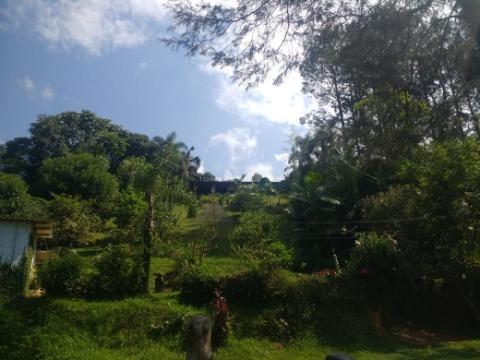 Sítio, 4 quartos, 200 m² - Foto 42