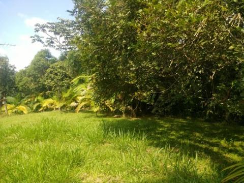 Sítio, 4 quartos, 200 m² - Foto 38