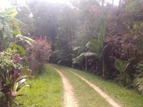 Sítio, 4 quartos, 200 m² - Foto 46