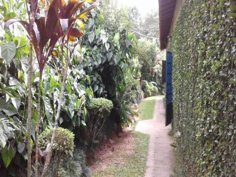 Sítio, 4 quartos, 200 m² - Foto 2