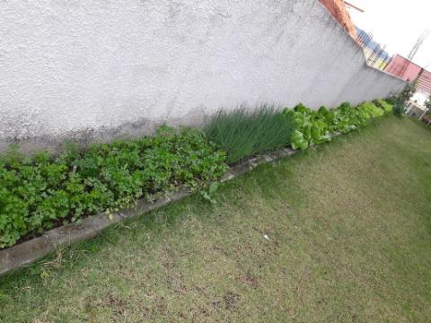 Sobrado, 10 quartos, 456 m² - Foto 29