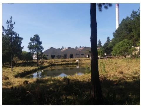 Depósito-Galpão, 9000 m² - Foto 13