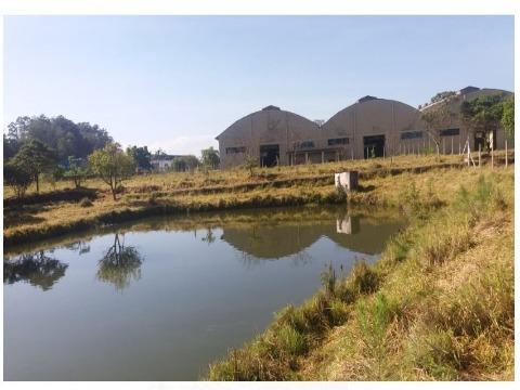 Depósito-Galpão, 9000 m² - Foto 15