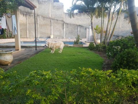 Casa, 6 quartos, 350 m² - Foto 17