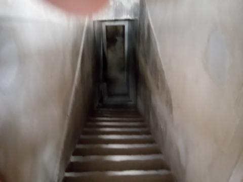 Casa, 3 quartos, 300 m² - Foto 7