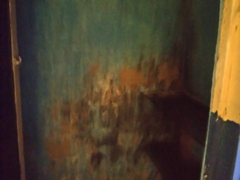 Casa, 3 quartos, 300 m² - Foto 28