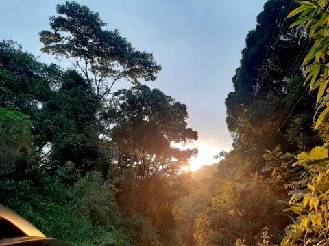 Sobrado, 8 quartos, 490 m² - Foto 26