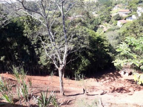 Chácara, 5 quartos, 4600 m² - Foto 44