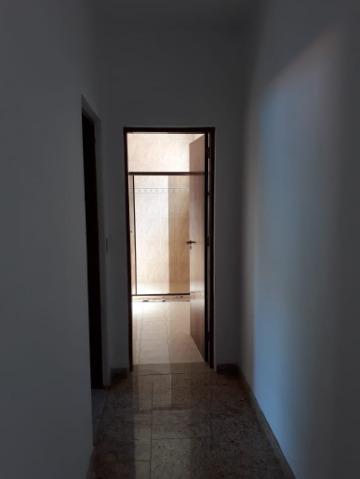 Chácara, 5 quartos, 4600 m² - Foto 8