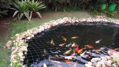 Chácara, 4 quartos, 5000 m² - Foto 5