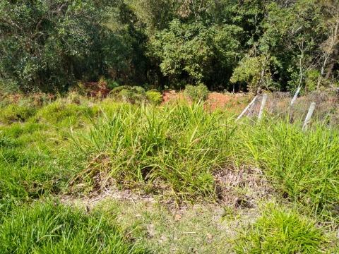 Chácara, 4 quartos, 1000 m² - Foto 18