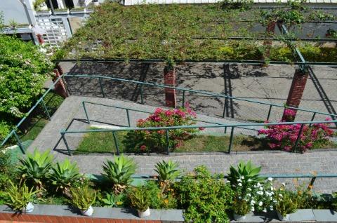 Chácara, 24 quartos, 1 hectares - Foto 43