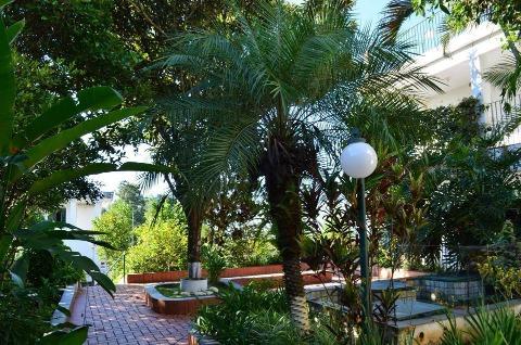 Chácara, 24 quartos, 1 hectares - Foto 41