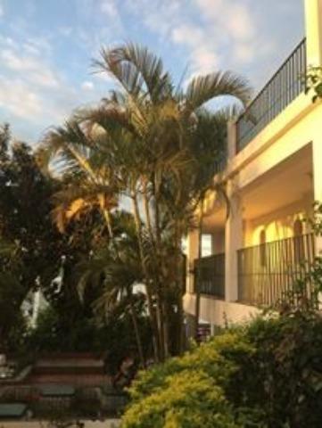 Chácara, 24 quartos, 1 hectares - Foto 36