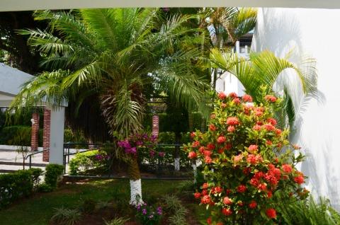 Chácara, 24 quartos, 1 hectares - Foto 38