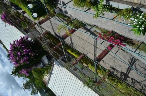 Chácara, 24 quartos, 1 hectares - Foto 45