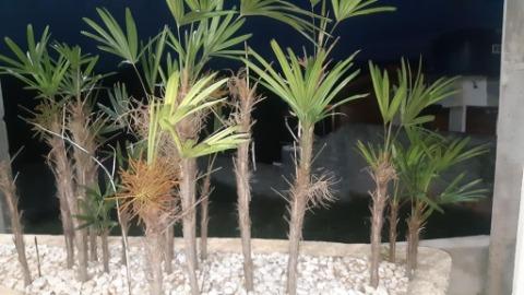 Chácara, 4 quartos, 1300 m² - Foto 28