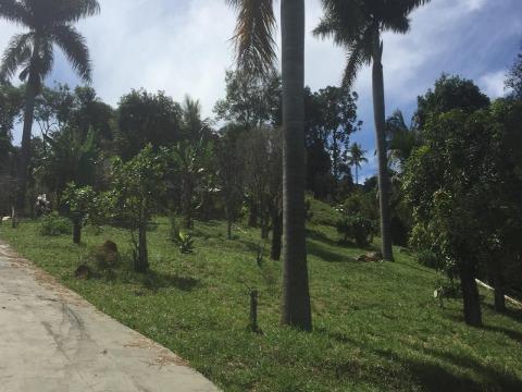 Casa, 3 quartos, 300 m² - Foto 19