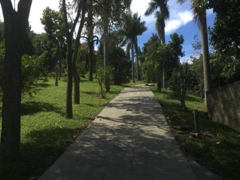 Casa, 3 quartos, 300 m² - Foto 18