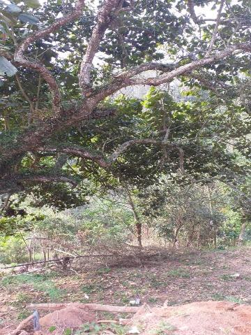 Chácara, 1 quarto, 7646 m² - Foto 2