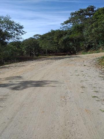 Chácara, 1 quarto, 7646 m² - Foto 6