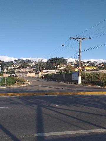 Chácara, 1 quarto, 7646 m² - Foto 4