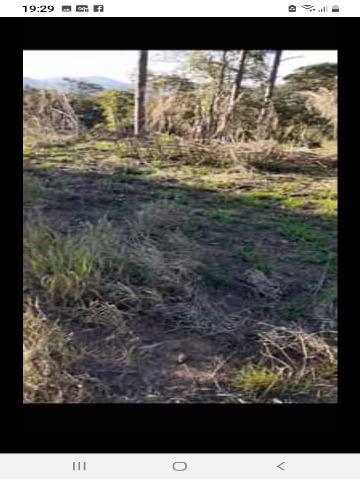 Terreno, 1232 m² - Foto 8