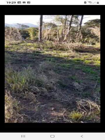 Terreno, 1232 m² - Foto 11