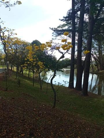 Casa, 6 quartos, 375 m² - Foto 15