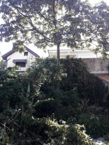 Terreno, 278 m² - Foto 4