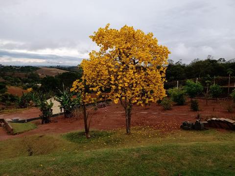 Casa, 6 quartos, 360 m² - Foto 16