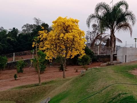 Casa, 6 quartos, 360 m² - Foto 17