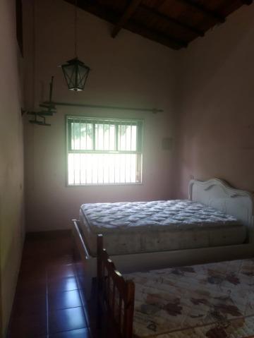 Chácara, 22 quartos, 32 hectares - Foto 14
