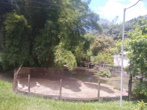 Chácara, 22 quartos, 32 hectares - Foto 21