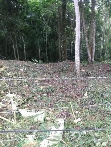 Terreno, 4000 m² - Foto 1