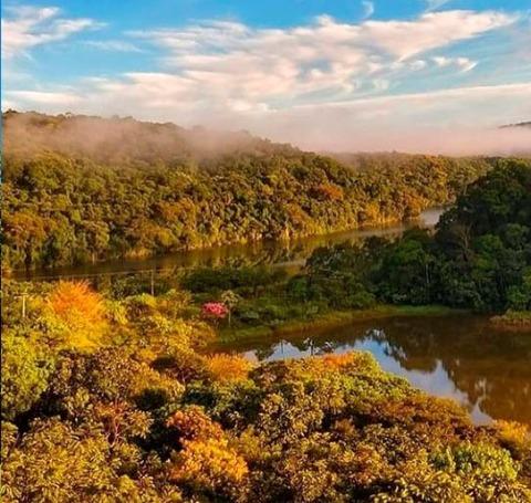 Sobrado, 5 quartos, 600 m² - Foto 29