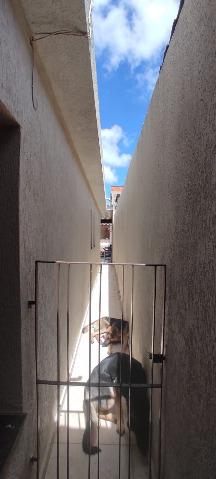 Casa, 3 quartos, 209 m² - Foto 14