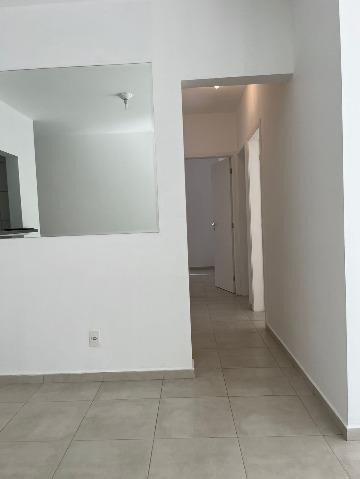 Apartamento, 4 quartos, 78 m² - Foto 5