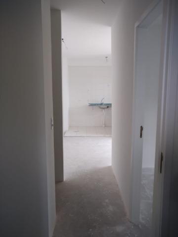 Apartamento, 4 quartos, 55 m² - Foto 9