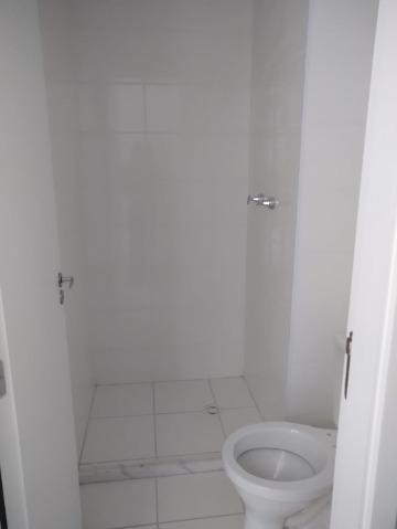Apartamento, 4 quartos, 55 m² - Foto 14