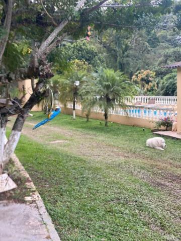 Chácara, 7 quartos, 3750 m² - Foto 7